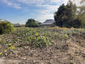 つくば市O様邸　造園工事　草刈りをおこないました