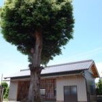 東側からの外観