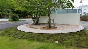 芝生の植え替え