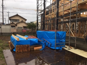 雨にも負けず、風にも負けず